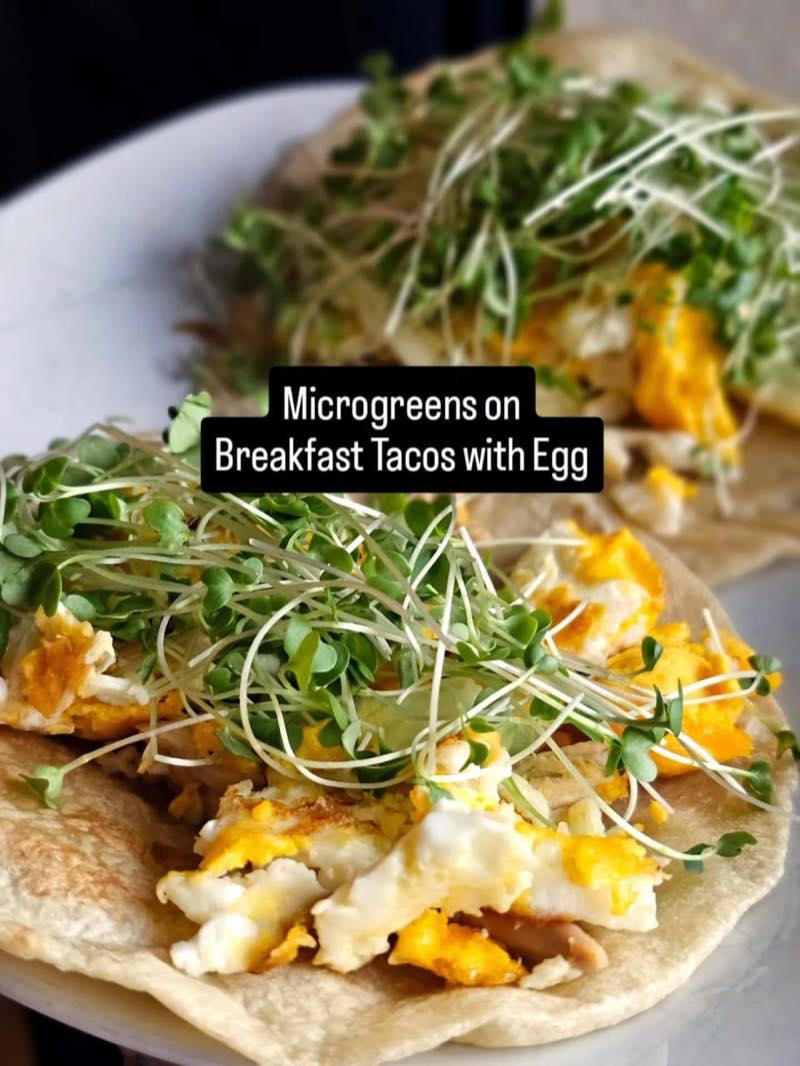 Breakfast tacos with egg piled high with microgreens