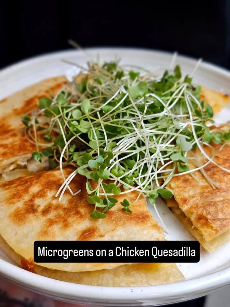 Chicken quesadilla topped with a mound of fresh microgreens