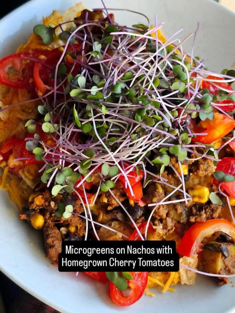 Loaded nachos with cherry tomatoes and purple radish microgreens