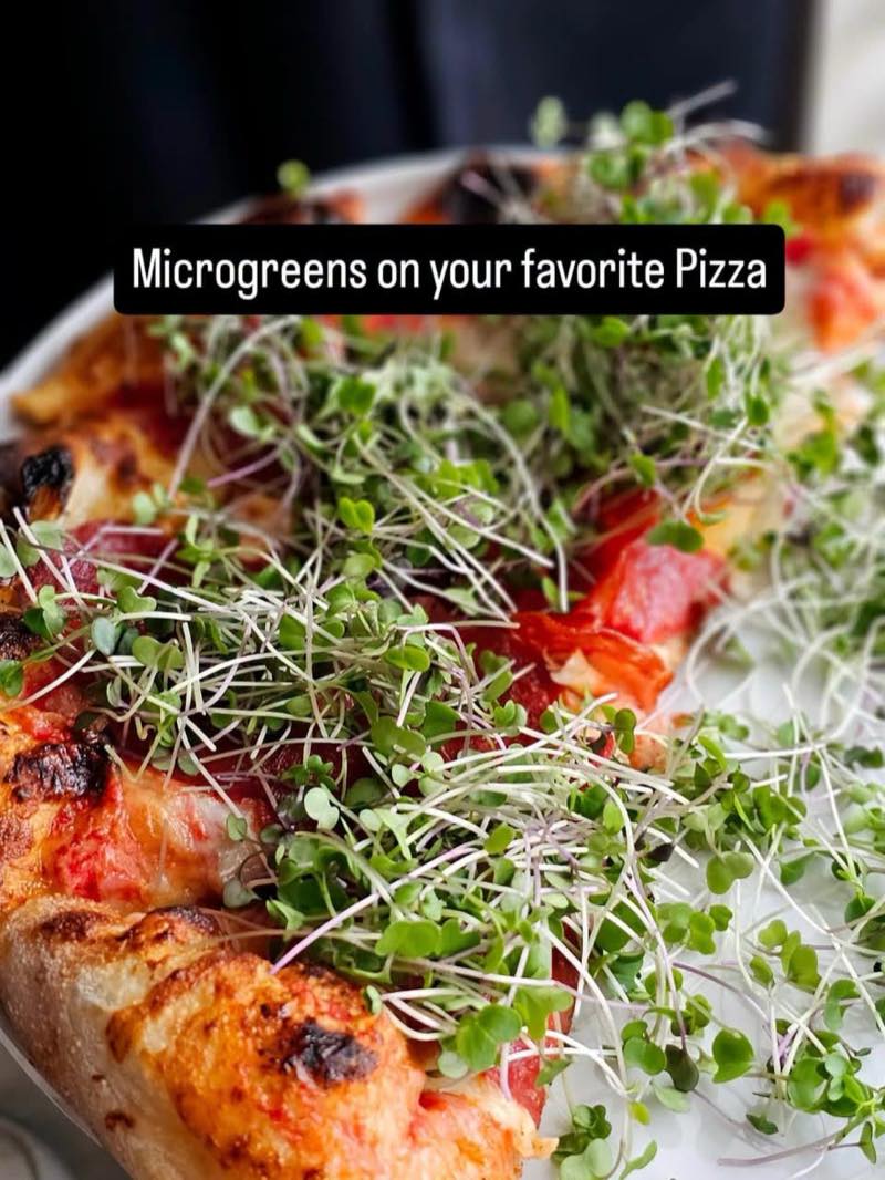 Microgreens scattered over a fresh pizza