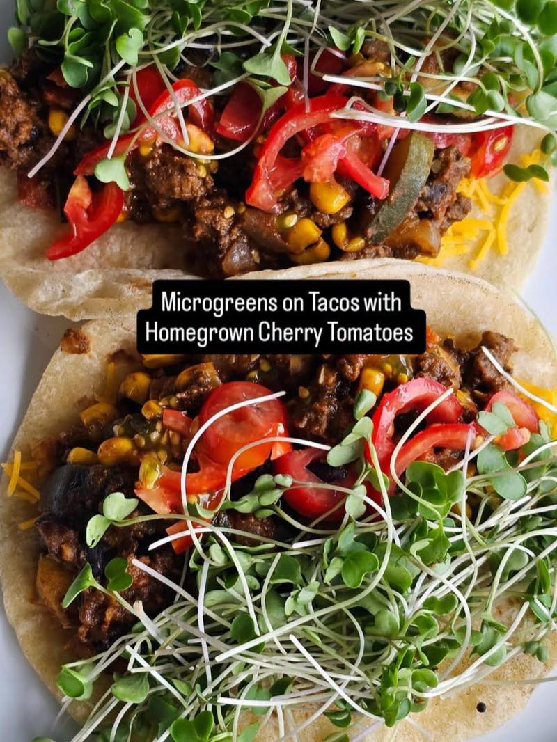 Beef tacos topped with cherry tomatoes and a generous handful of microgreens