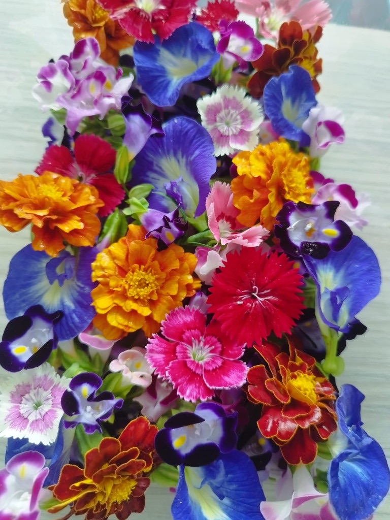 Edible flower mix — marigold, dianthus and butterfly pea
