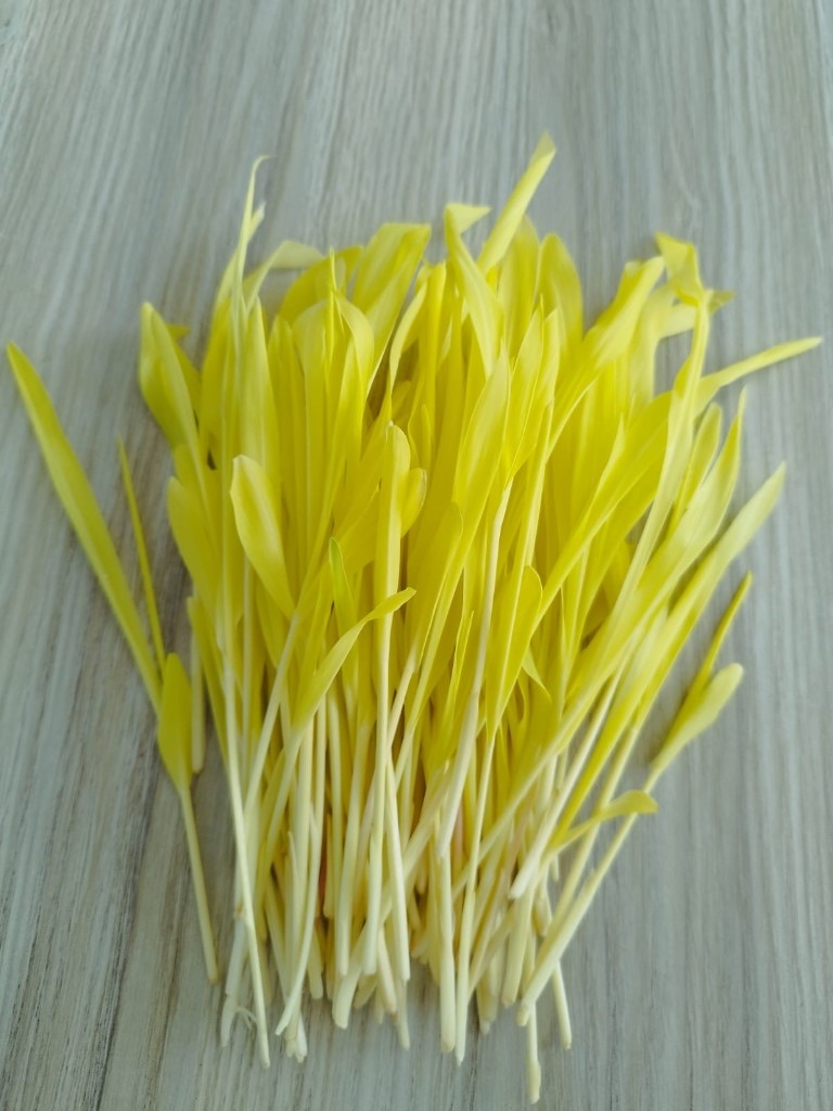 Corn microgreens from Peak Agro Lanka