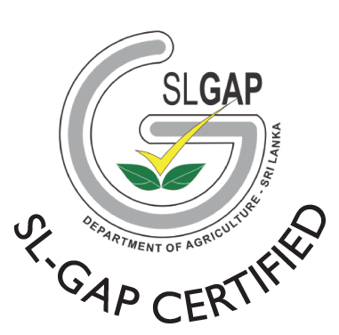 sl gap logo